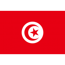 Флаг Тунис купить цена Москва Санкт-Петербург Россия СПб доставка заказ заказать производство производитель изготовитель оптом оптовый продажа