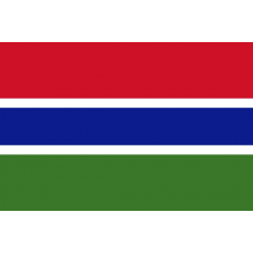 Flag of the gambia