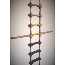 Storm ladder worker with balusters