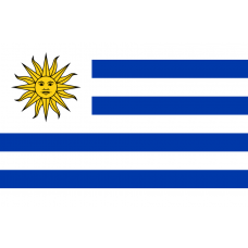 Flag of uruguay