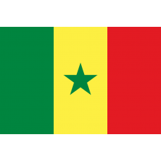 Флаг Сенегал купить цена Москва Санкт-Петербург Россия СПб доставка заказ заказать производство производитель изготовитель оптом оптовый продажа
